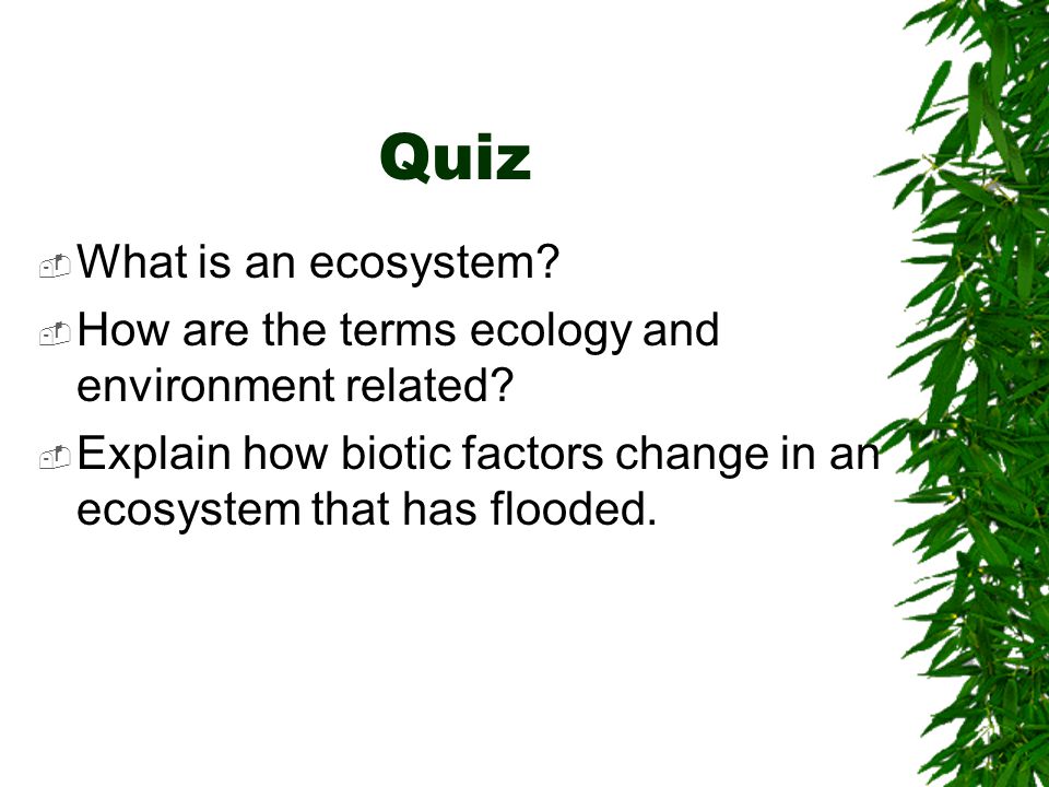 Quiz What is an ecosystem