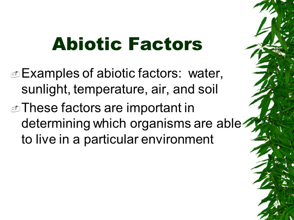 Abiotic Factors Examples of abiotic factors: water, sunlight, temperature, air, and soil.