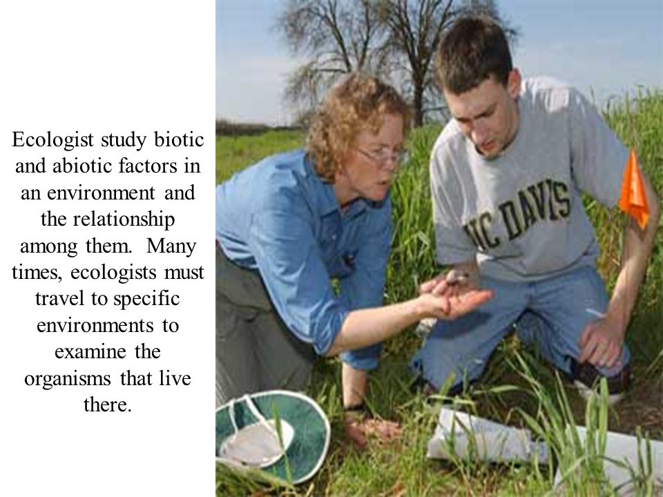 Ecologist study biotic and abiotic factors in an environment and the relationship among them. Many times, ecologists must travel to specific environments to examine the organisms that live there.