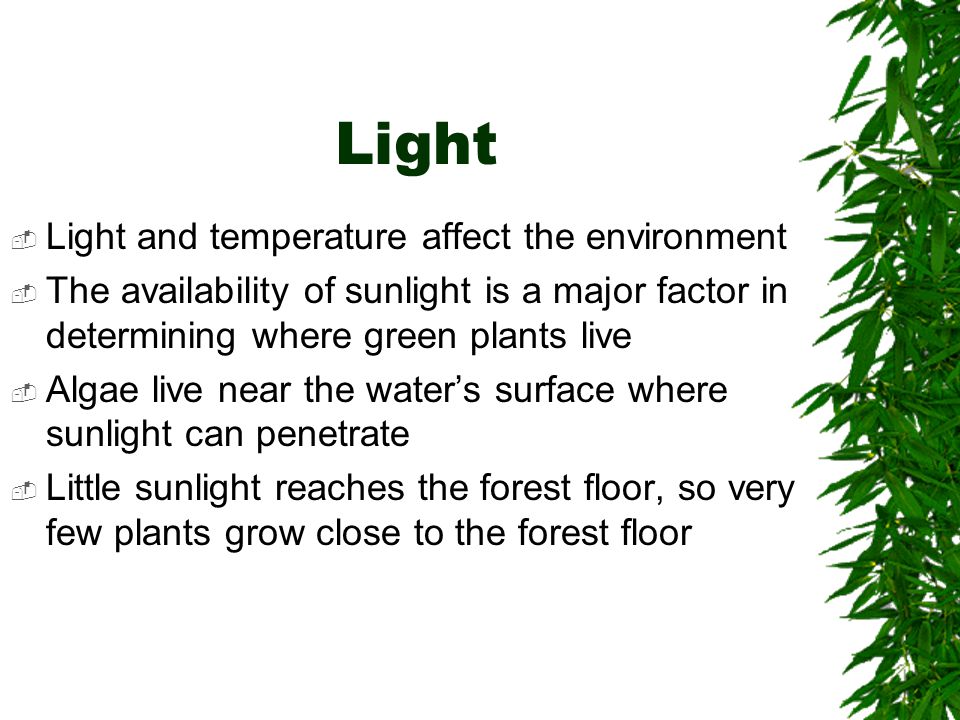 Light Light and temperature affect the environment