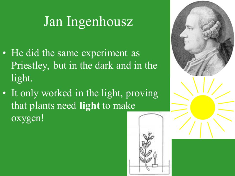 Photosynthesis. - ppt video online download