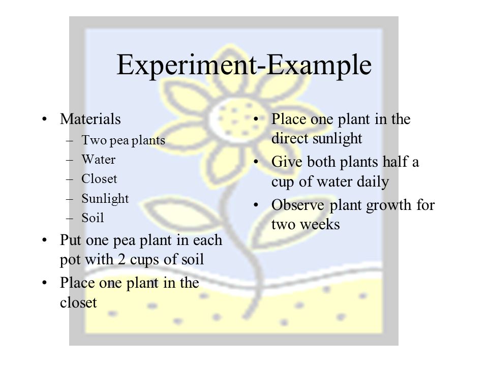 Experiment-Example Materials