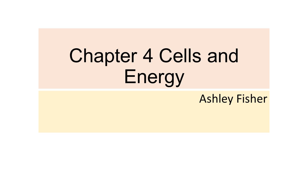 Chapter 4 Cells and Energy