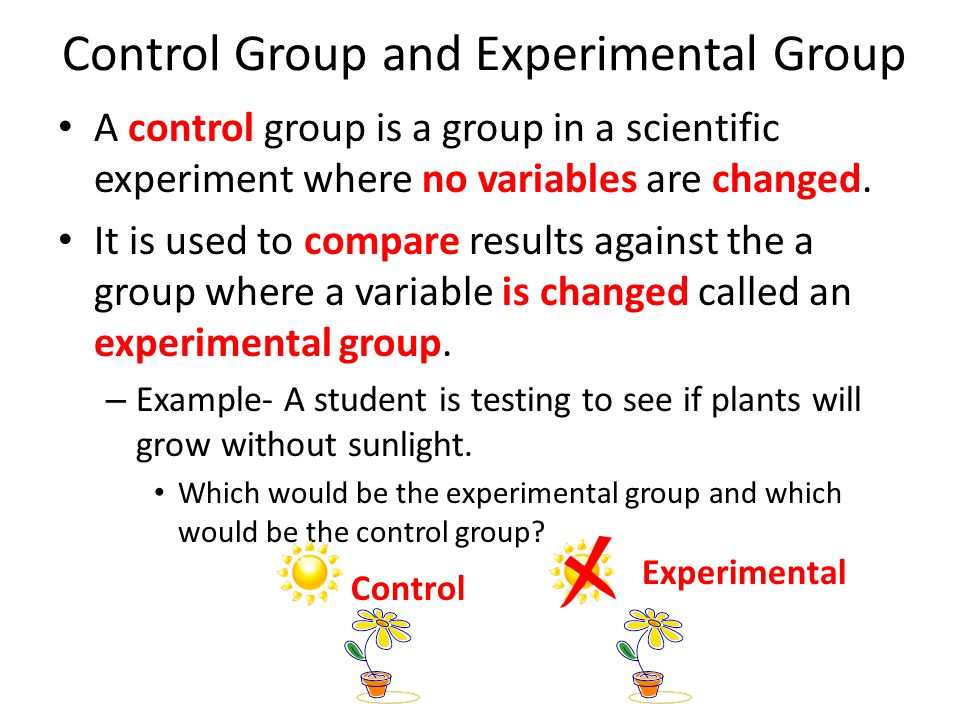 Control Group and Experimental Group