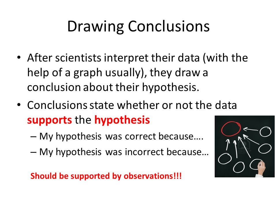 Drawing Conclusions After scientists interpret their data (with the help of a graph usually), they draw a conclusion about their hypothesis.