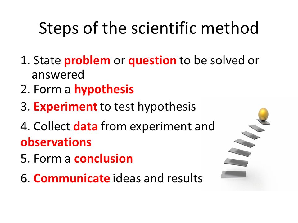 Steps of the scientific method