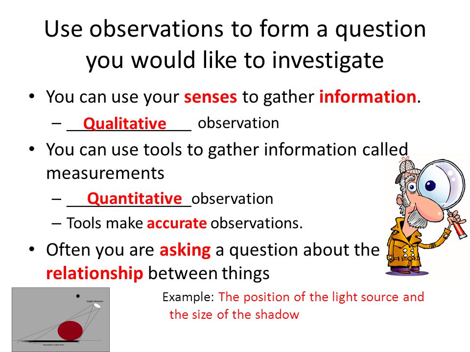 Use observations to form a question you would like to investigate