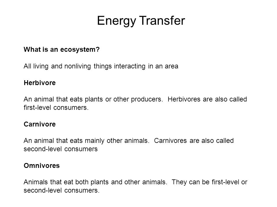 Energy Transfer What is an ecosystem