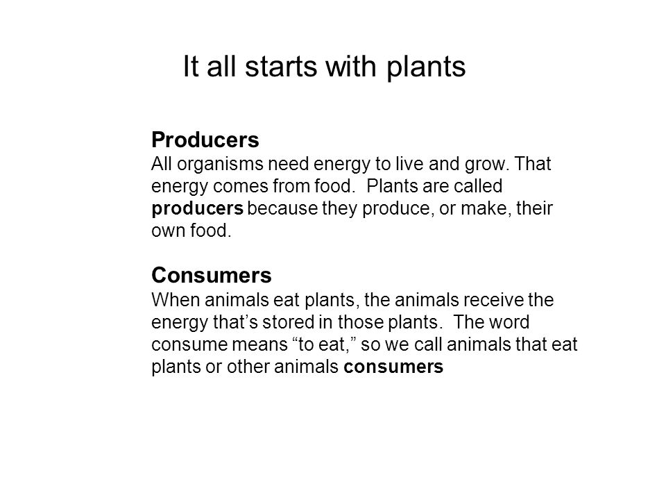 It all starts with plants