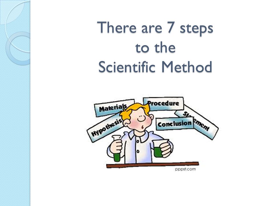 There are 7 steps to the Scientific Method