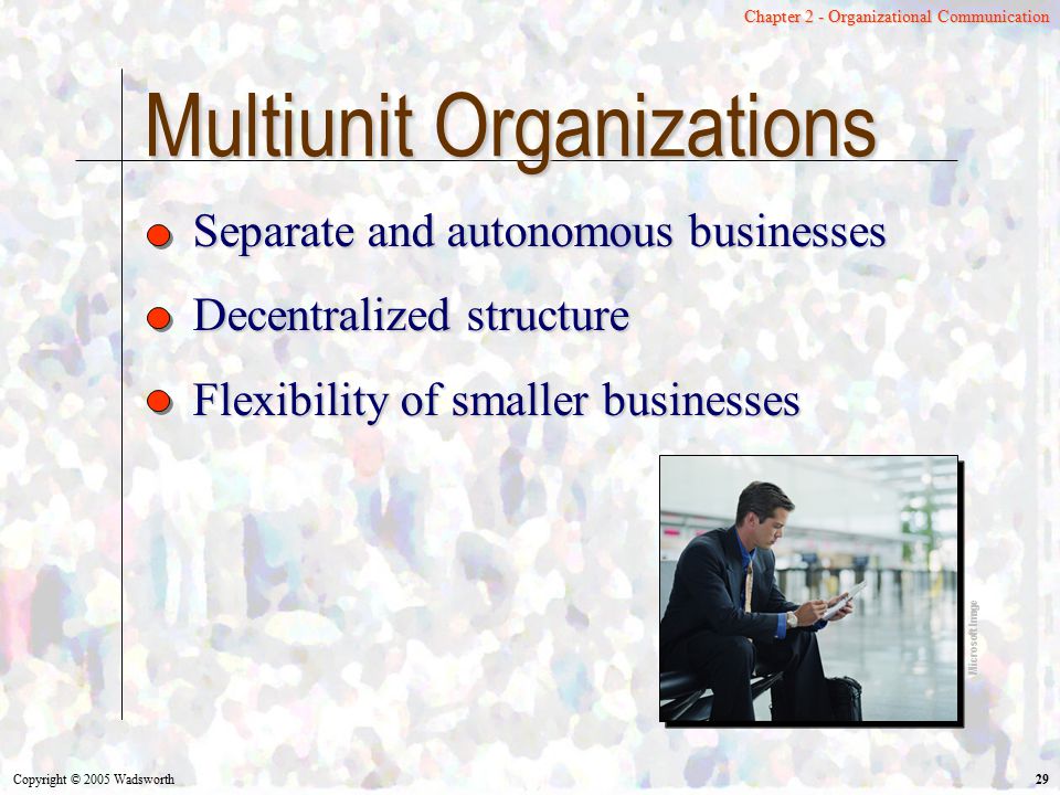 Multiunit Organizations