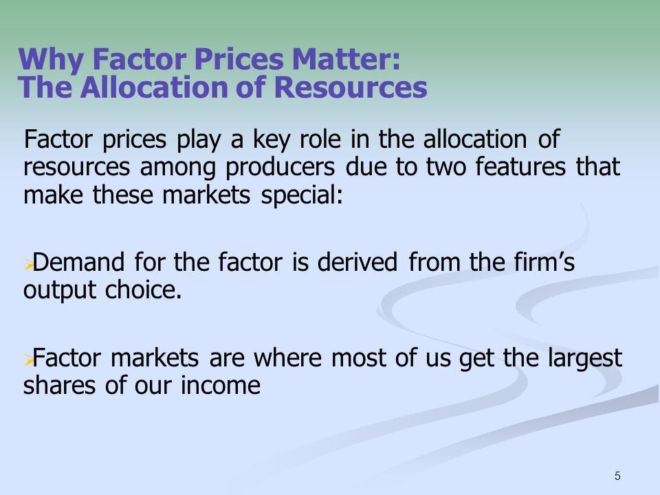 Why Factor Prices Matter: The Allocation of Resources