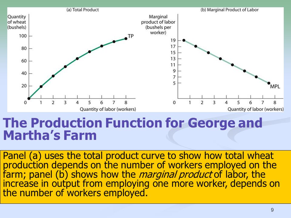 The Production Function for George and Martha’s Farm