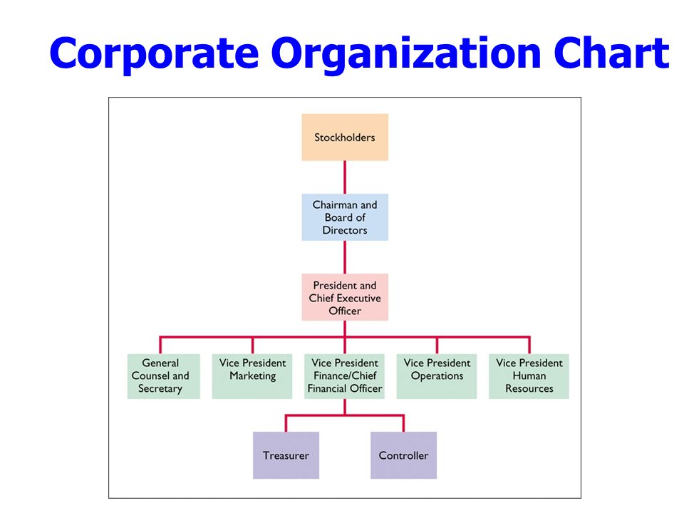 Corporate Organization Chart