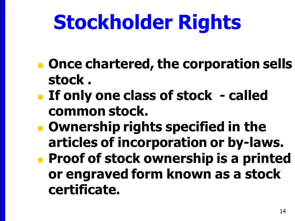 Stockholder Rights Once chartered, the corporation sells stock .