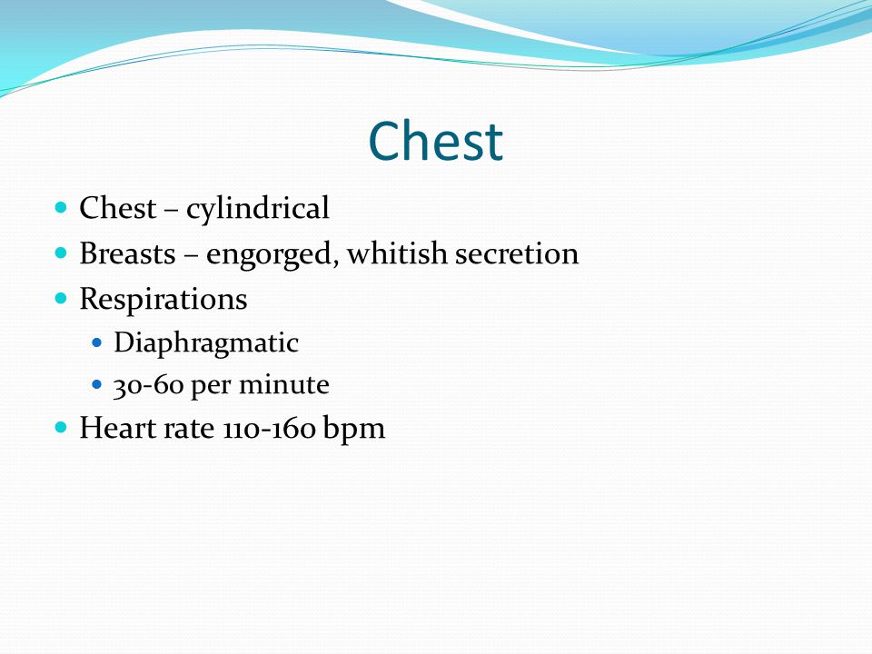 Chest Chest – cylindrical Breasts – engorged, whitish secretion