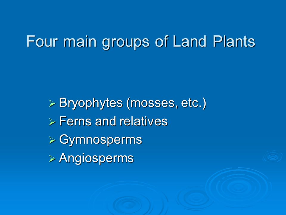 Four main groups of Land Plants
