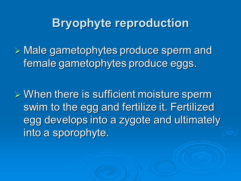 Bryophyte reproduction