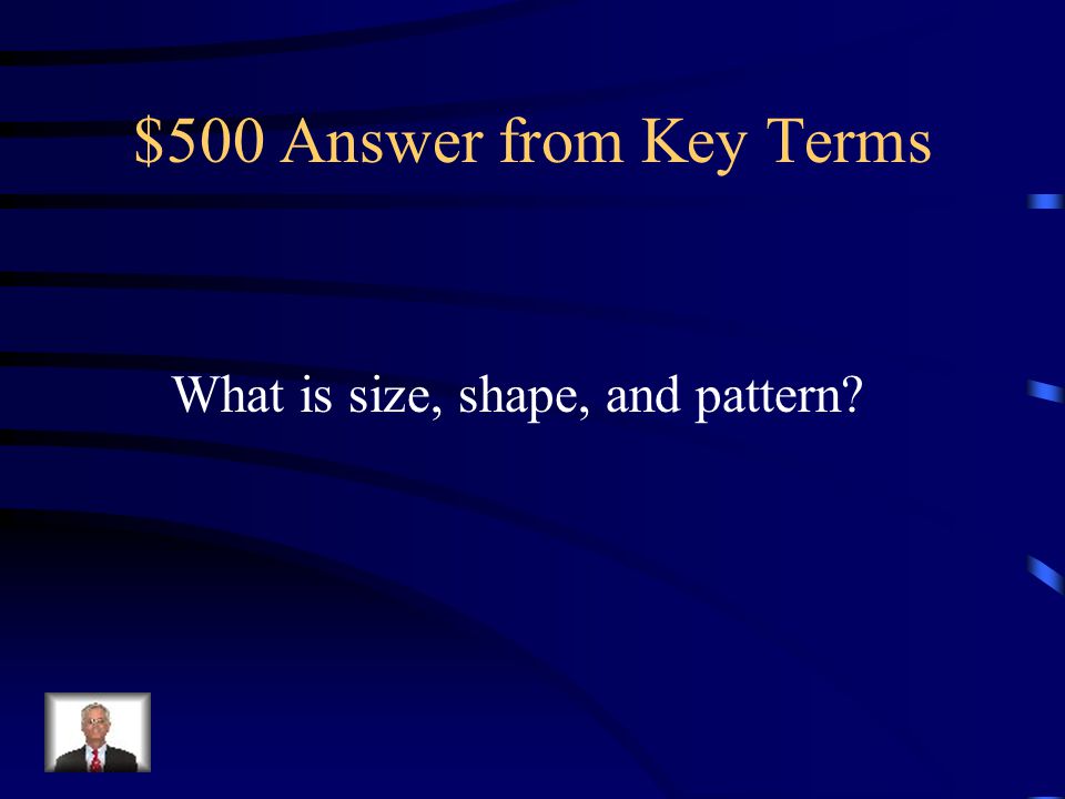 $500 Answer from Key Terms What is size, shape, and pattern