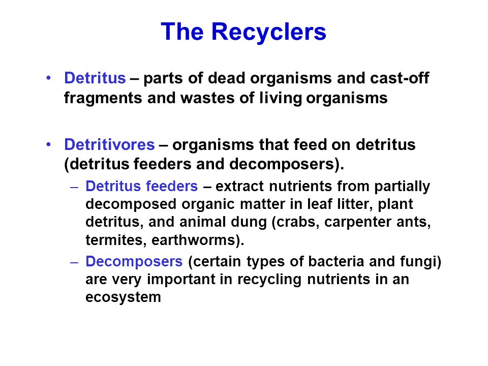 Decomposers Aquatic And Nutrient Cycles Ppt Video Online Download