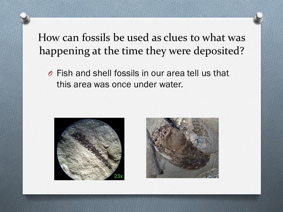 How can fossils be used as clues to what was happening at the time they were deposited