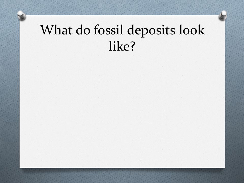 What do fossil deposits look like