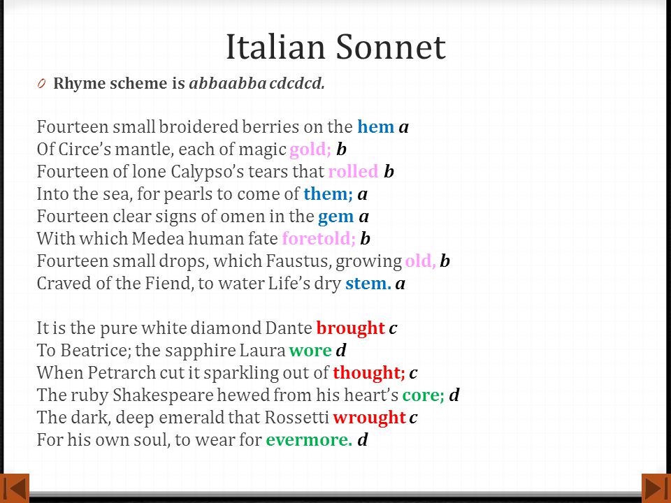 Italian Sonnet Fourteen small broidered berries on the hem a