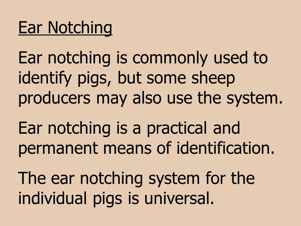 Methods Of Identifying Livestock Ppt Video Online Download