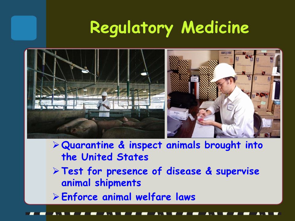Regulatory Medicine Quarantine & inspect animals brought into the United States. Test for presence of disease & supervise animal shipments.
