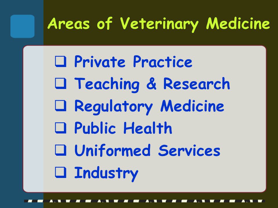 Areas of Veterinary Medicine