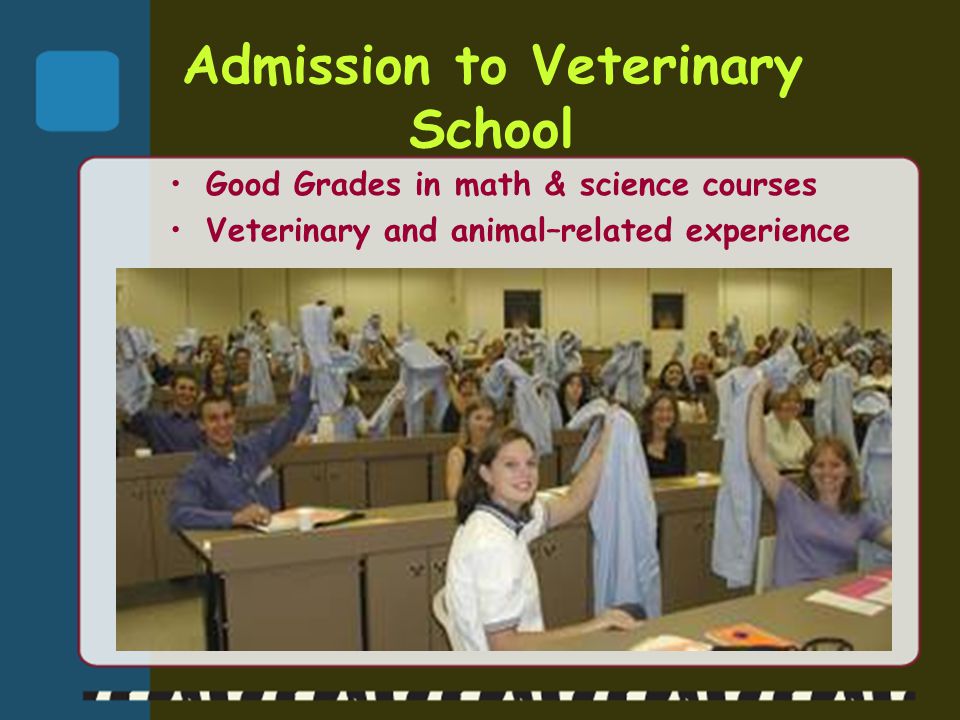 Admission to Veterinary School