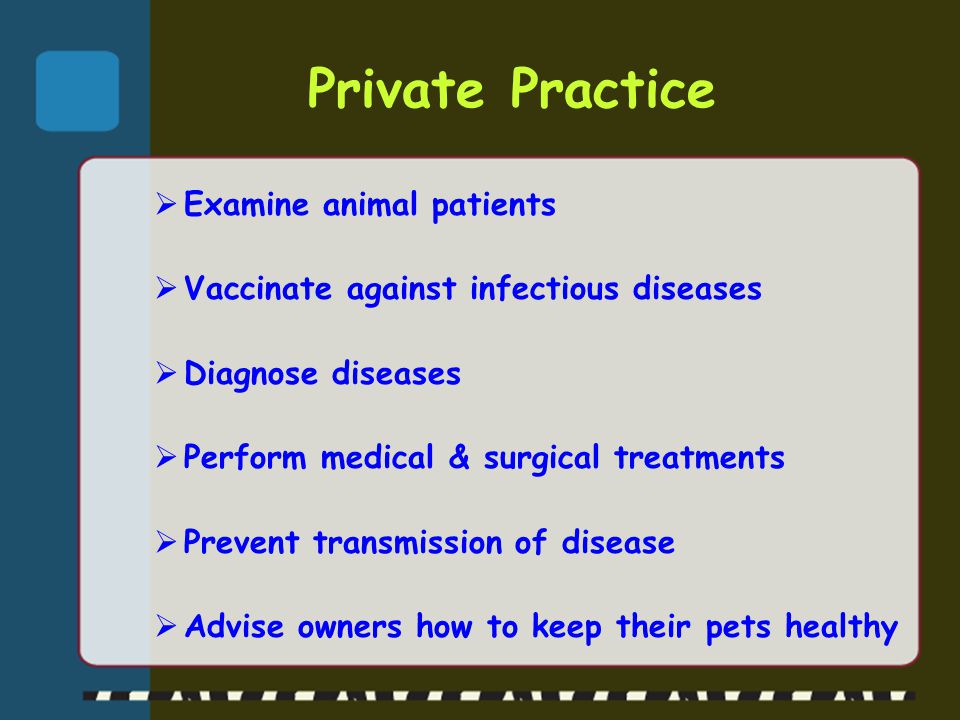 Private Practice Examine animal patients