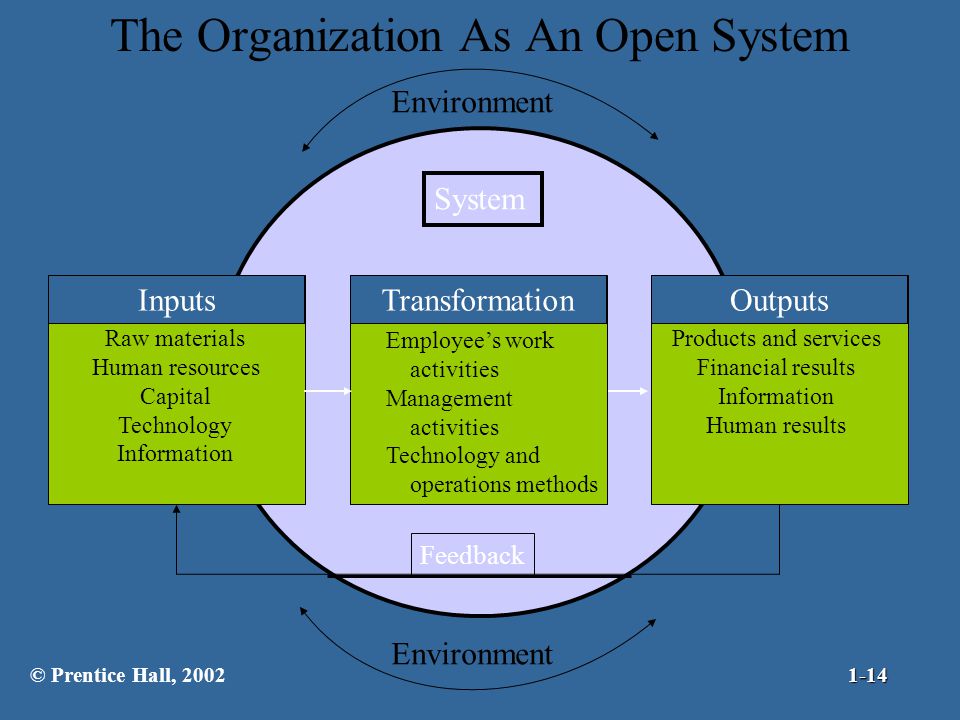 The Organization As An Open System