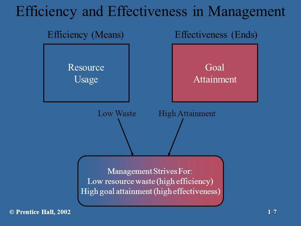 Efficiency and Effectiveness in Management