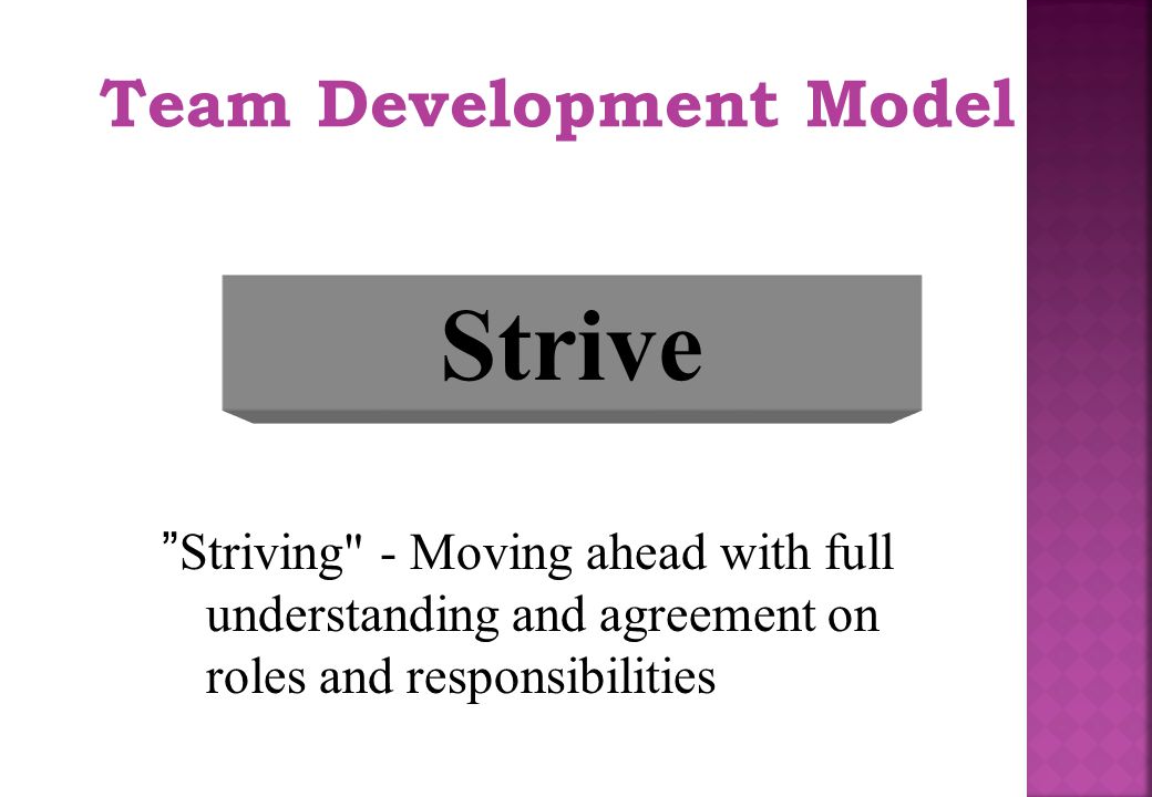 Strive Team Development Model