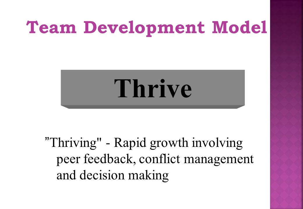 Thrive Team Development Model