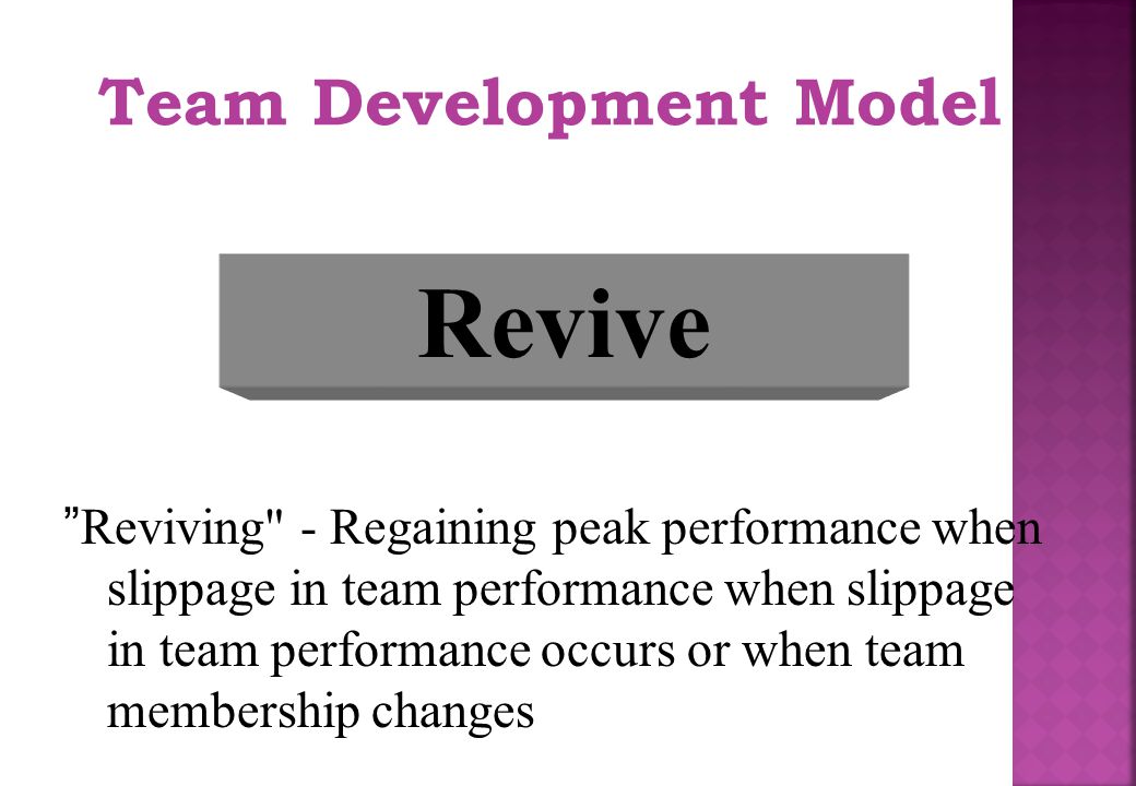 Revive Team Development Model