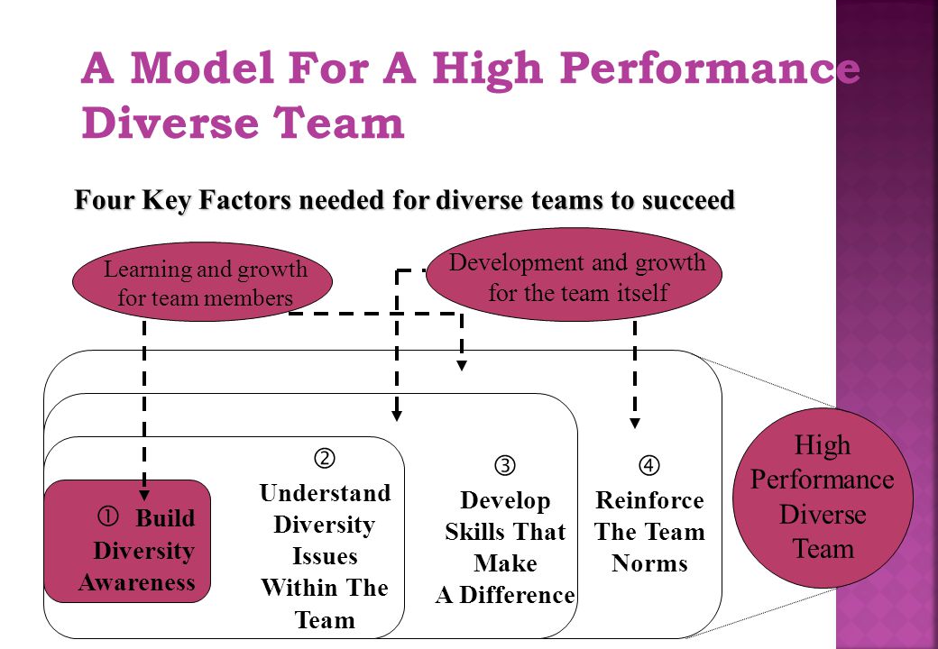 A Model For A High Performance Diverse Team