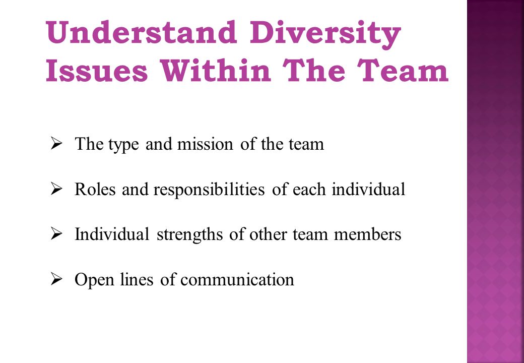Understand Diversity Issues Within The Team