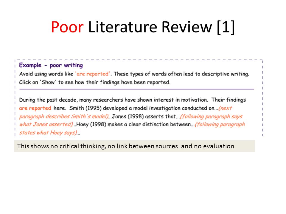 Eccie Review