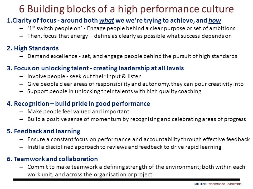 6 Building blocks of a high performance culture