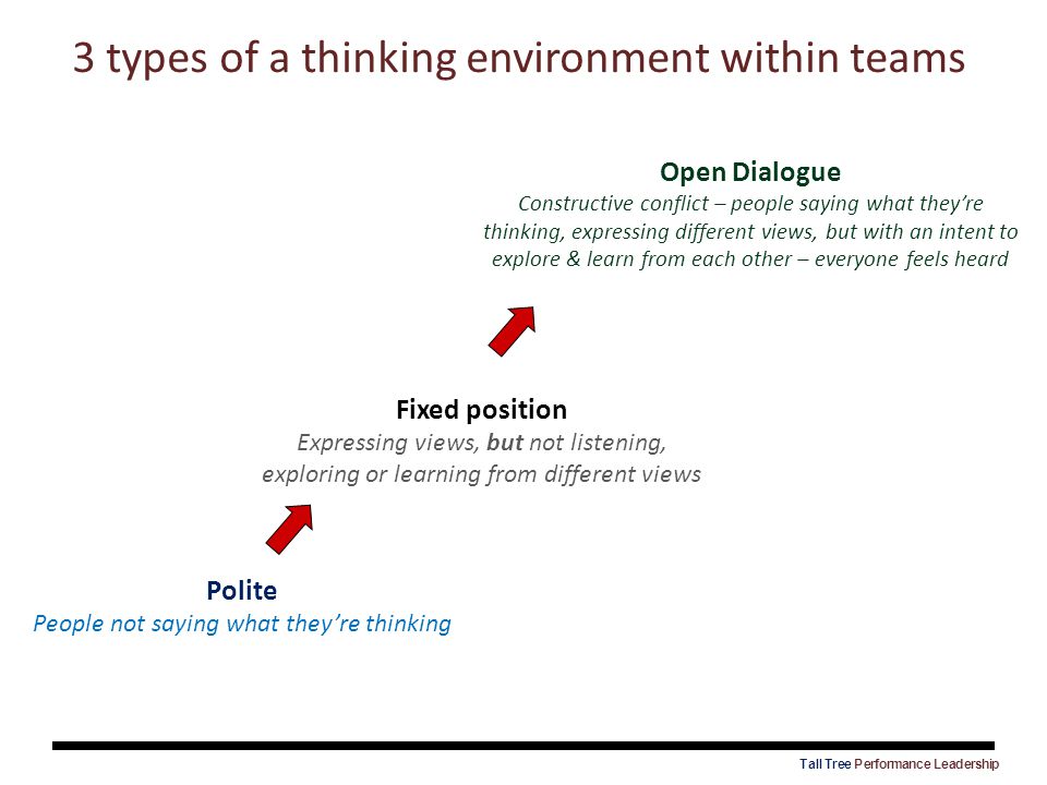 3 types of a thinking environment within teams