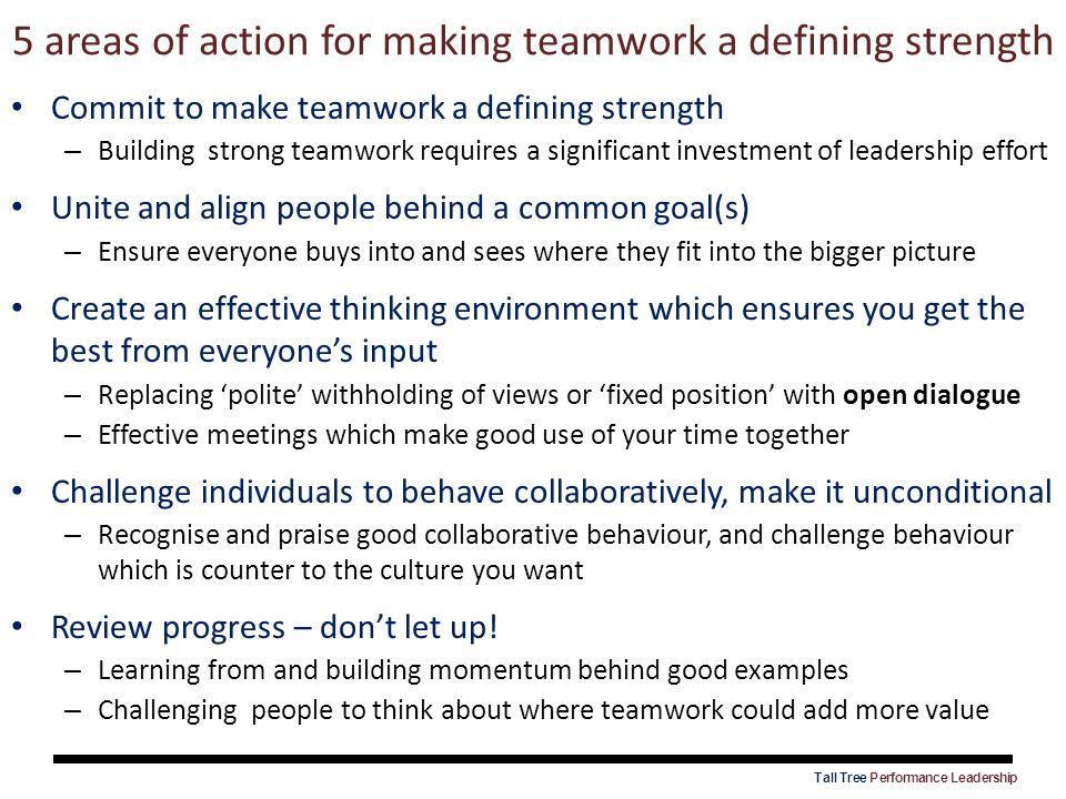 5 areas of action for making teamwork a defining strength