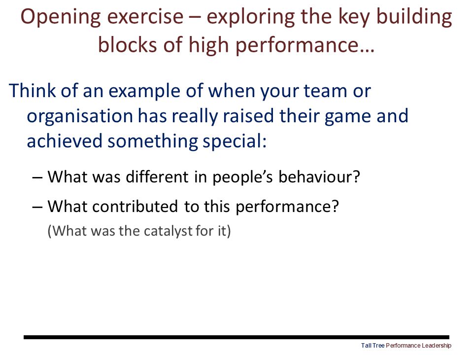Opening exercise – exploring the key building blocks of high performance…