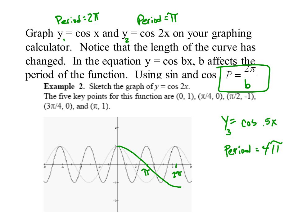 Solved: using a calculator, sketch the graph the bassic tr.