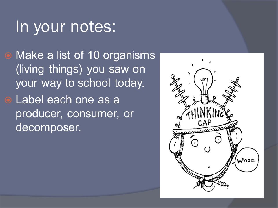 In your notes: Make a list of 10 organisms (living things) you saw on your way to school today.
