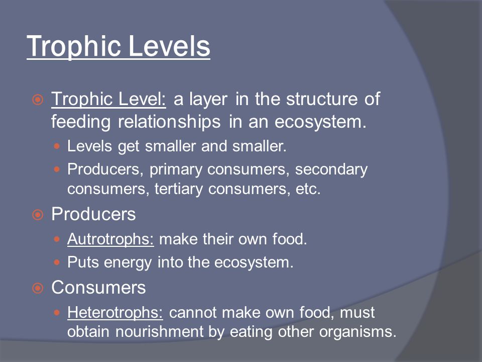 Trophic Levels Trophic Level: a layer in the structure of feeding relationships in an ecosystem. Levels get smaller and smaller.