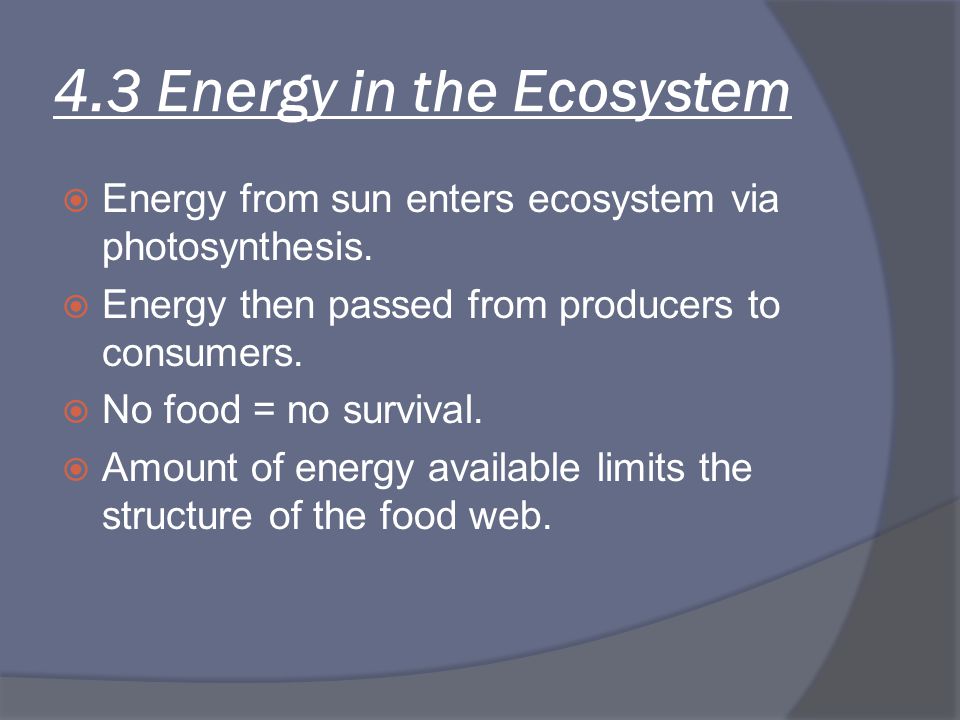 4.3 Energy in the Ecosystem