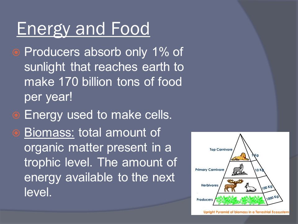 Energy and Food Producers absorb only 1% of sunlight that reaches earth to make 170 billion tons of food per year!