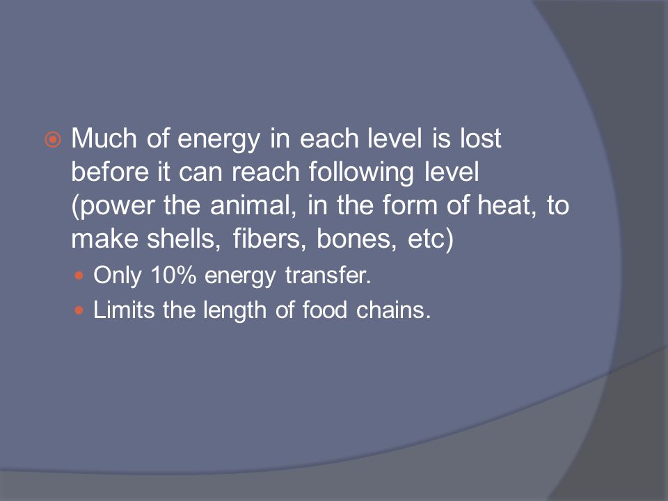 Much of energy in each level is lost before it can reach following level (power the animal, in the form of heat, to make shells, fibers, bones, etc)